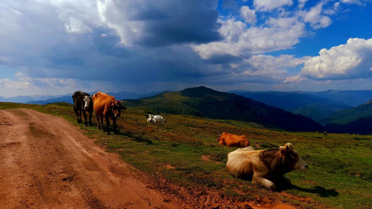 Eco Village Coric Мойковац Екстериор снимка